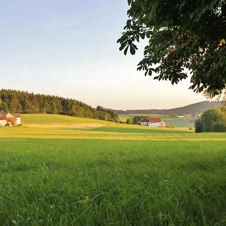Gasthof-pension Zum Haugstein - Familie Eder Энгельхартсцелль