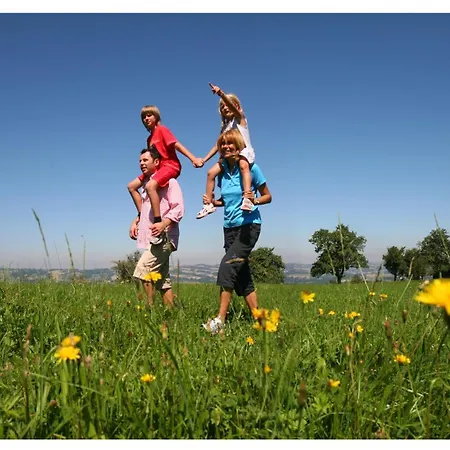 Гостевой дом Gasthof-pension Zum Haugstein - Familie Eder 3*