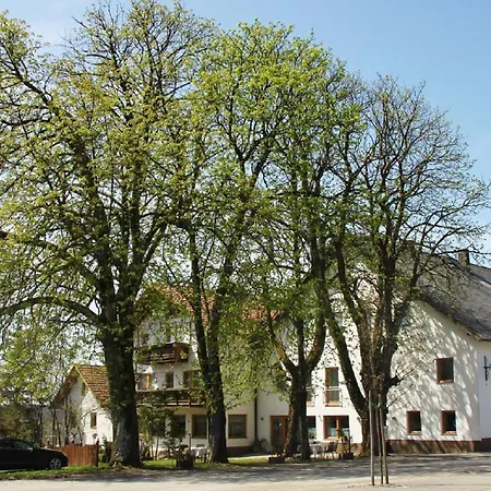 Gasthof-pension Zum Haugstein - Familie Eder Πανσιόν