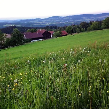 Gasthof-pension Zum Haugstein - Familie Eder Гостевой дом Энгельхартсцелль