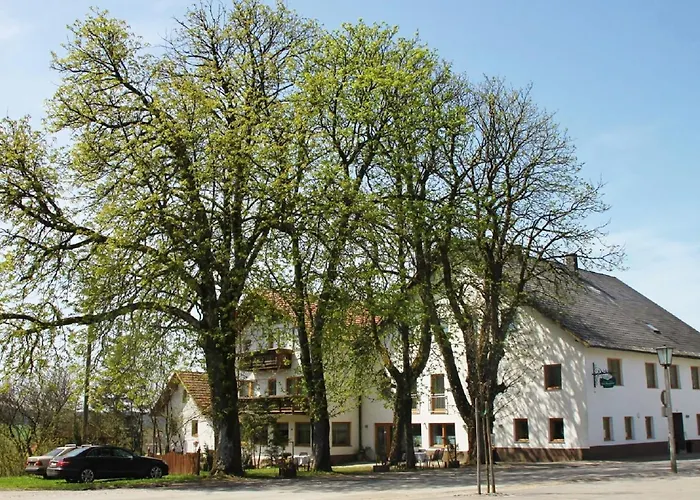 Gasthof-pension Zum Haugstein - Familie Eder Guest house