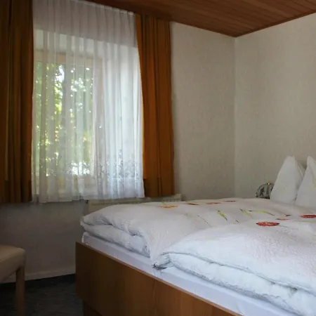 Gasthof-pension Zum Haugstein - Familie Eder Engelhartszell