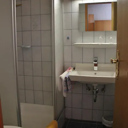 Penzion Gasthof-pension Zum Haugstein - Familie Eder
