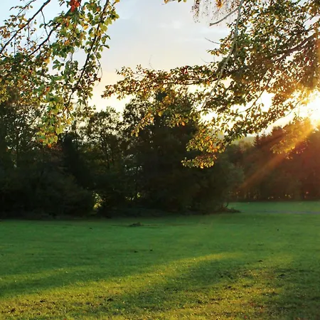 Gasthof-pension Zum Haugstein - Familie Eder Guest house