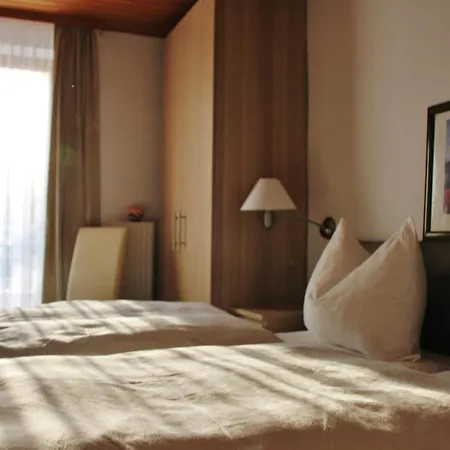 Penzion Gasthof-pension Zum Haugstein - Familie Eder 3*