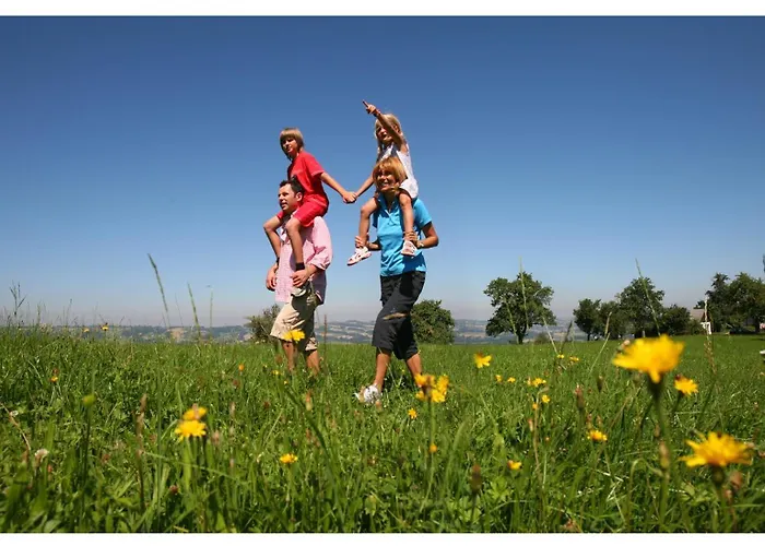 بيت ضيافة Gasthof-pension Zum Haugstein - Familie Eder 3*