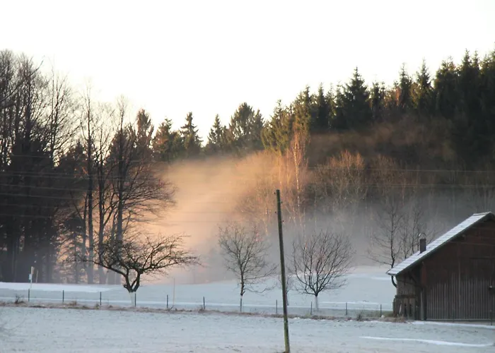 Gasthof-pension Zum Haugstein - Familie Eder 3*
