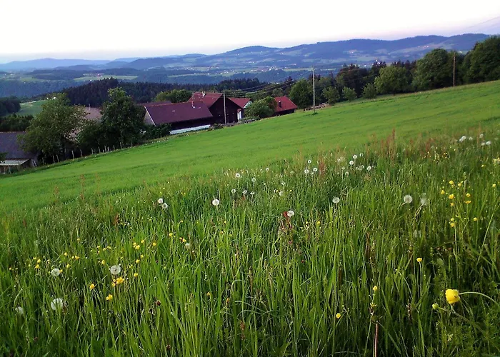 Gasthof-pension Zum Haugstein - Familie Eder بيت ضيافة إنغليهارتزيل